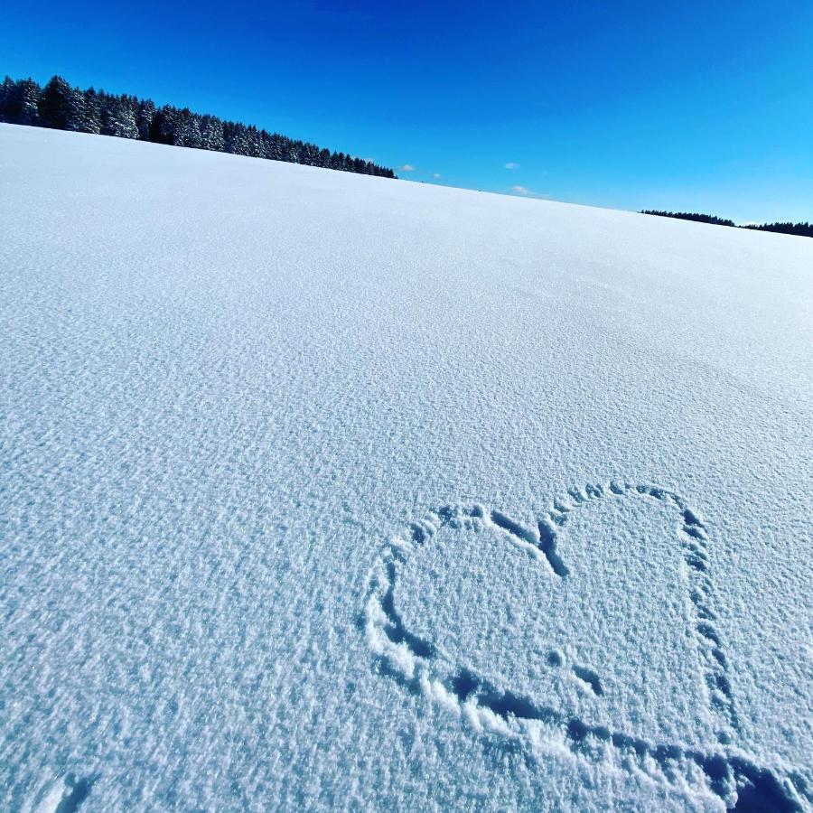 Harz Is Calling Гослар Екстериор снимка