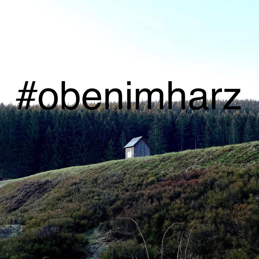 Harz Is Calling Гослар Екстериор снимка