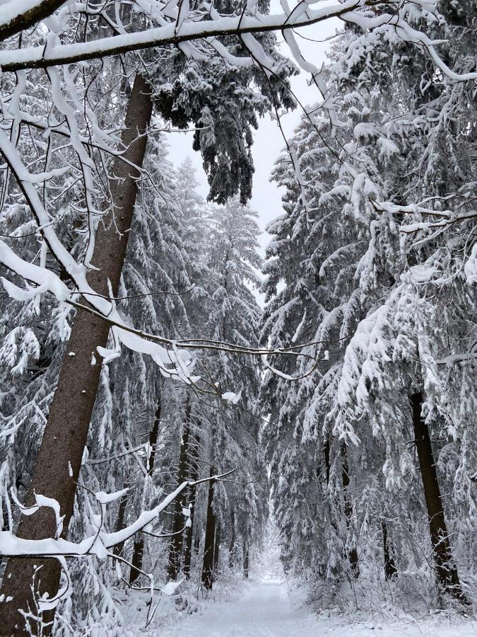 Harz Is Calling Гослар Екстериор снимка