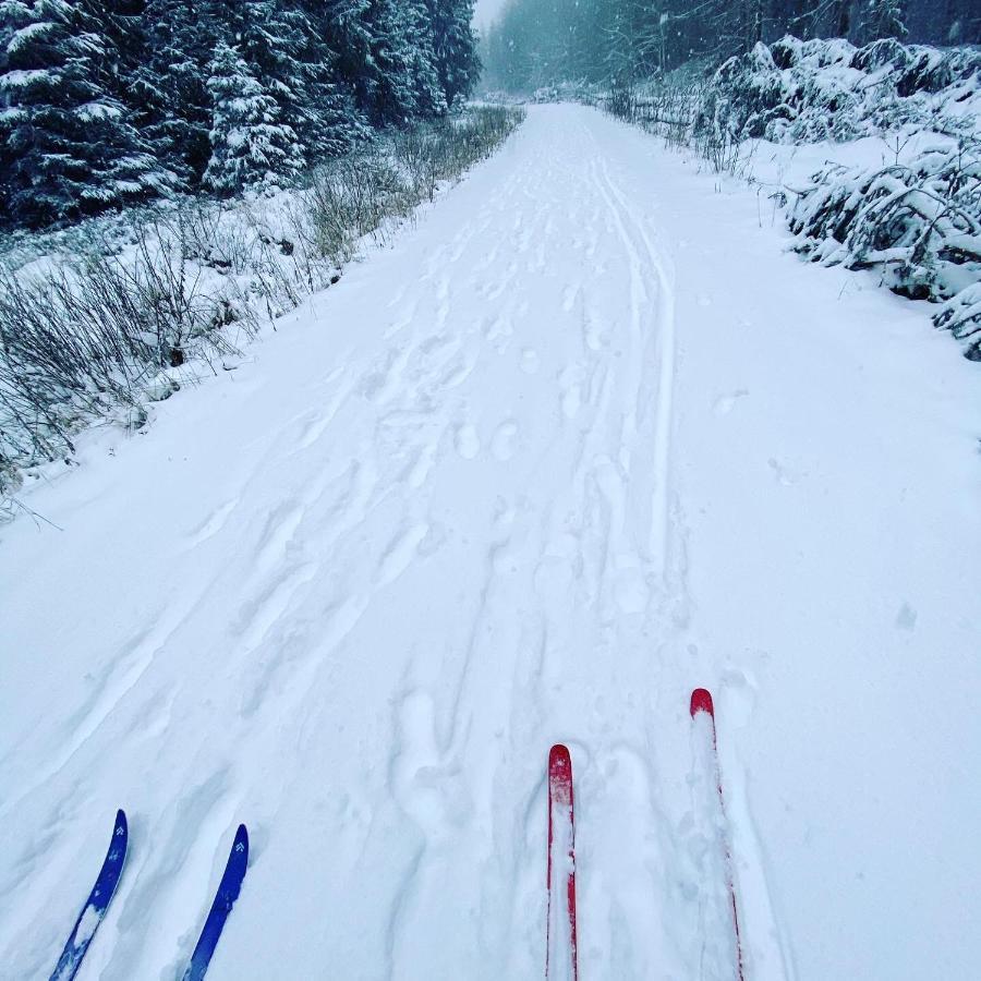 Harz Is Calling Гослар Екстериор снимка