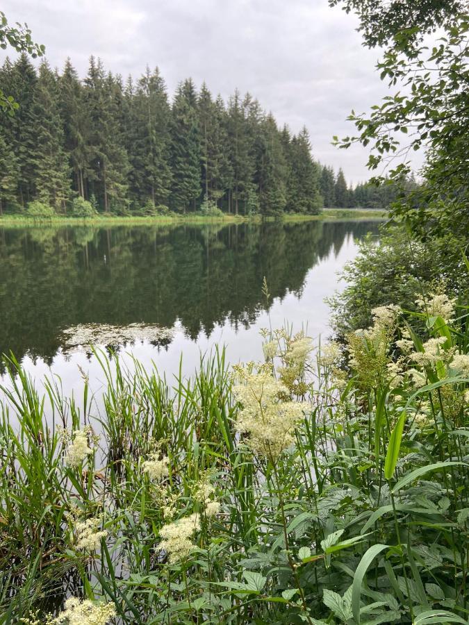 Harz Is Calling Гослар Екстериор снимка