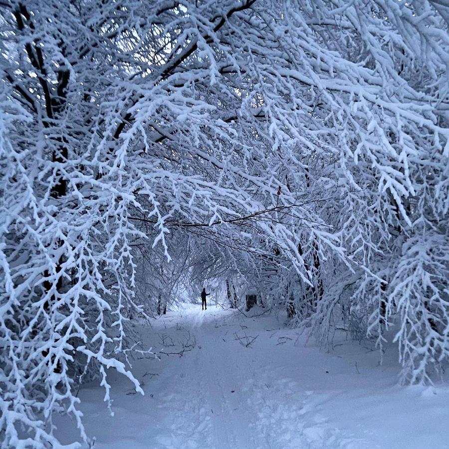 Harz Is Calling Гослар Екстериор снимка