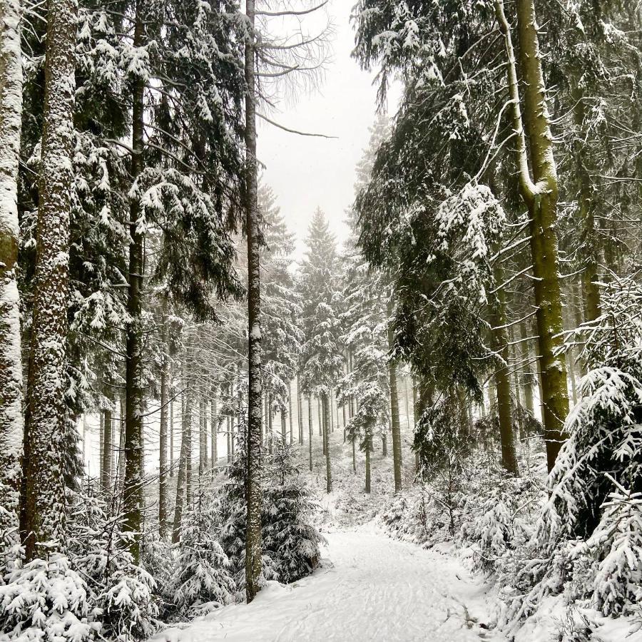 Harz Is Calling Гослар Екстериор снимка
