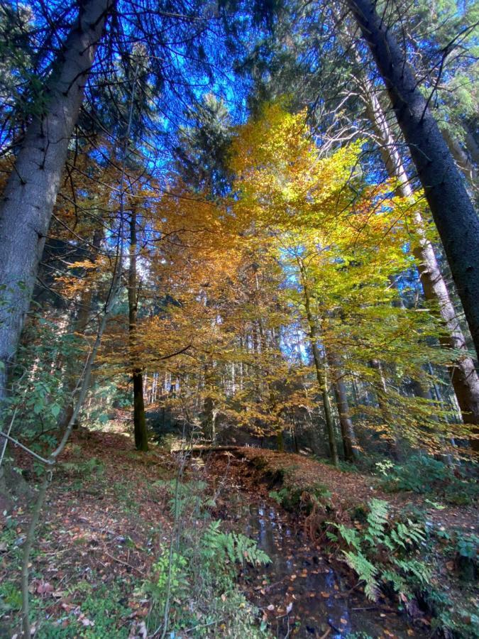 Harz Is Calling Гослар Екстериор снимка