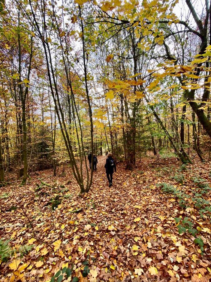 Harz Is Calling Гослар Екстериор снимка