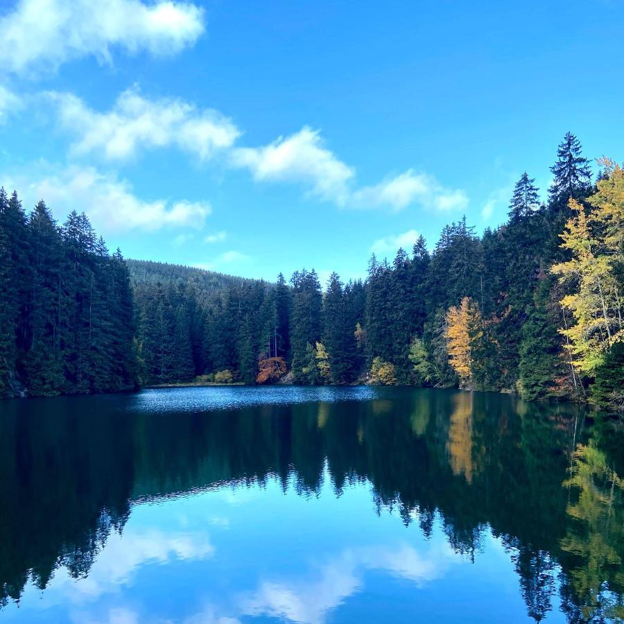 Harz Is Calling Гослар Екстериор снимка
