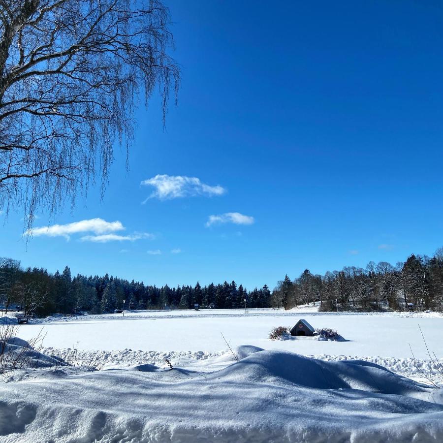 Harz Is Calling Гослар Екстериор снимка