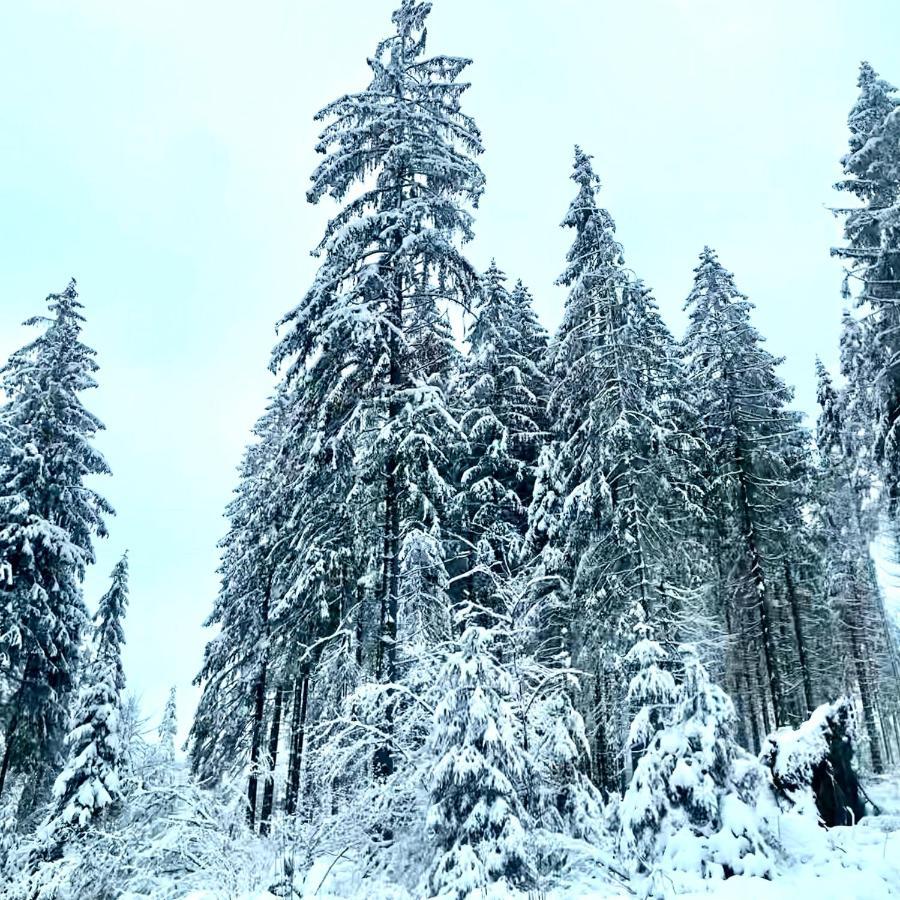 Harz Is Calling Гослар Екстериор снимка