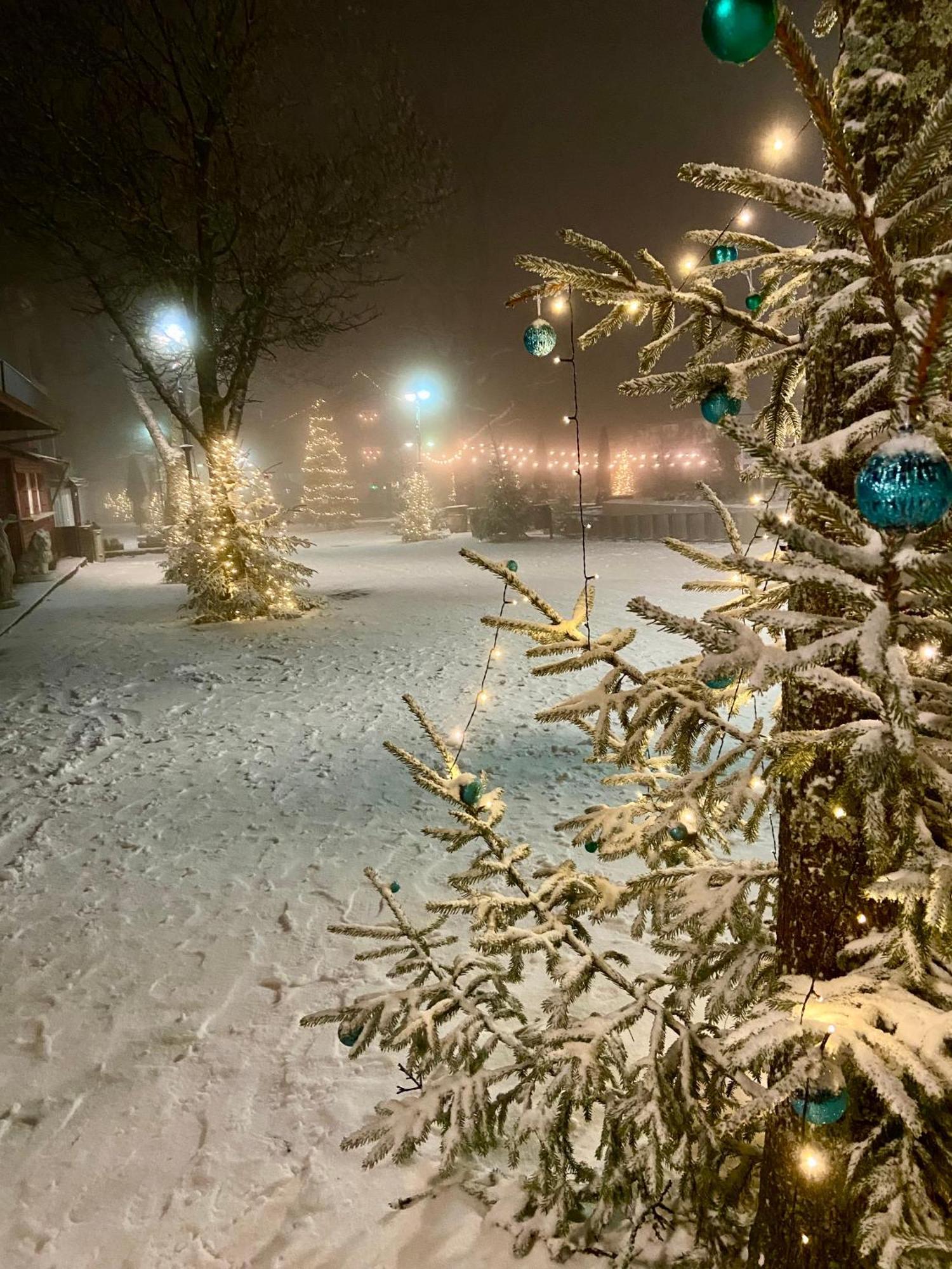 Harz Is Calling Гослар Екстериор снимка